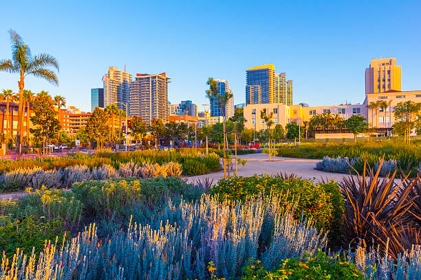 istock Skyscrapers of San Diego Skyline at dusk, CA(P) 478394880
