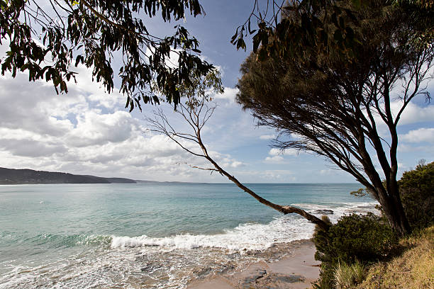 istock Surf Beach of the Great Ocean Road 478395602