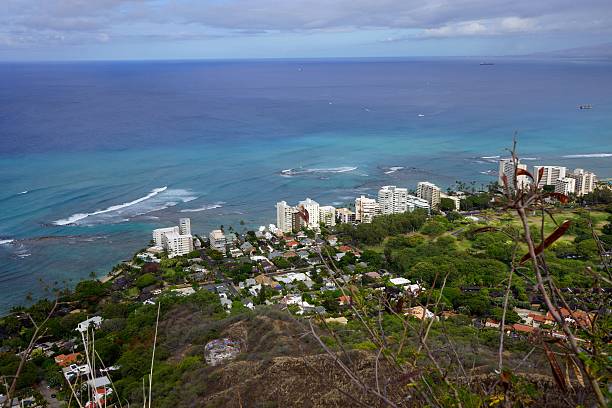 istock Top of Diamond Head Crater in Honolulu 478399434
