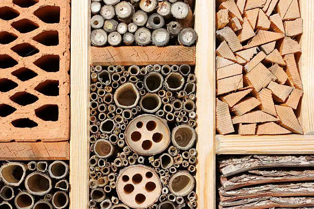 This is a insect hotel for overwinter survival.
