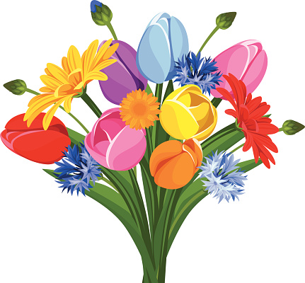 Bouquet Of Colorful Tulips Gerbera Flowers And Cornflowers Vector ...