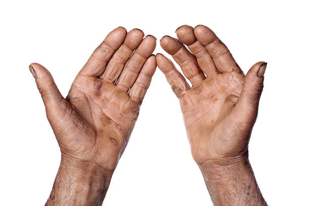 Hands of agricultural worker Hands of old agricultural worker isolated on white dirty hands stock pictures, royalty-free photos & images