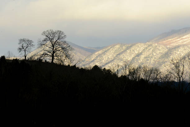 Contrast snow covered mountains and dark silhouettes.