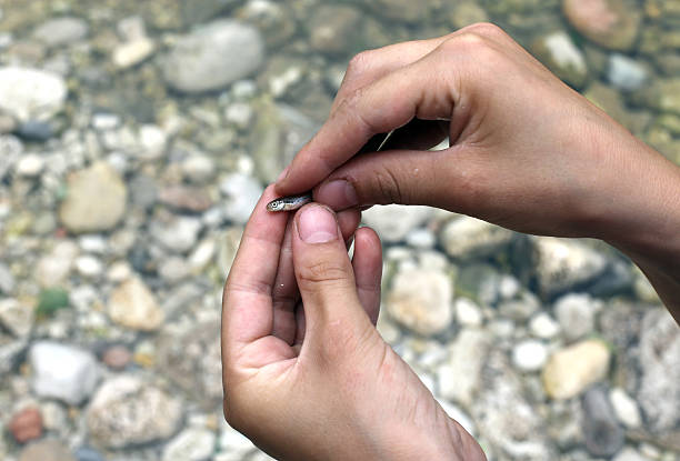 child with a very little fish in the hand