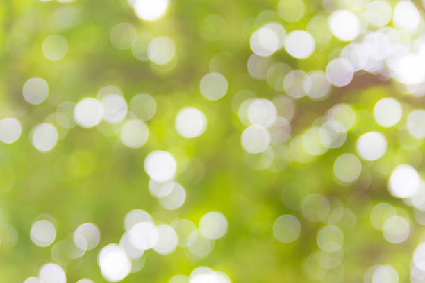 istock Abstract natural bokeh background, blurred bokeh 478409212