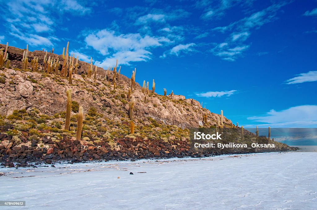 Incahuasi island in Salar de Uyuni, Bolivia 2015 Stock Photo