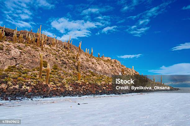 Incahuasi Island In Salar De Uyuni Bolivia Stock Photo - Download Image Now - 2015, Arid Climate, Barren