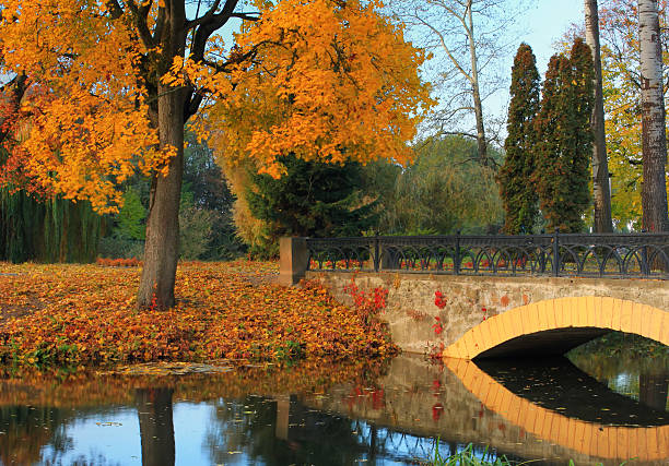 istock Autumn in the japanise park 478414690