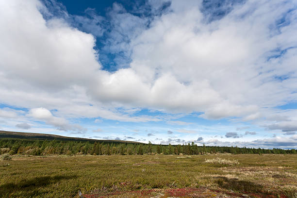 istock Wild landscape in Ural Mountains. 478415185