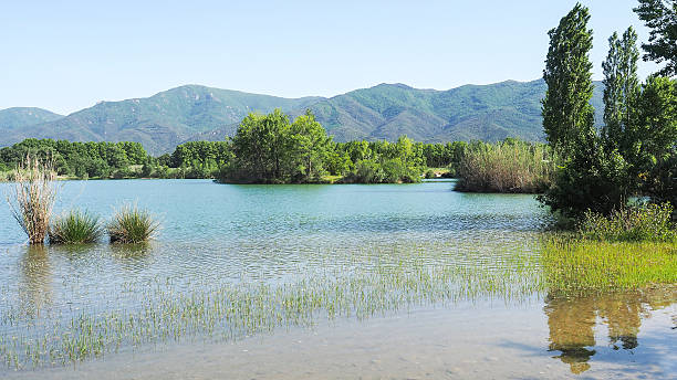 Lake in the south of France in summer stock photo