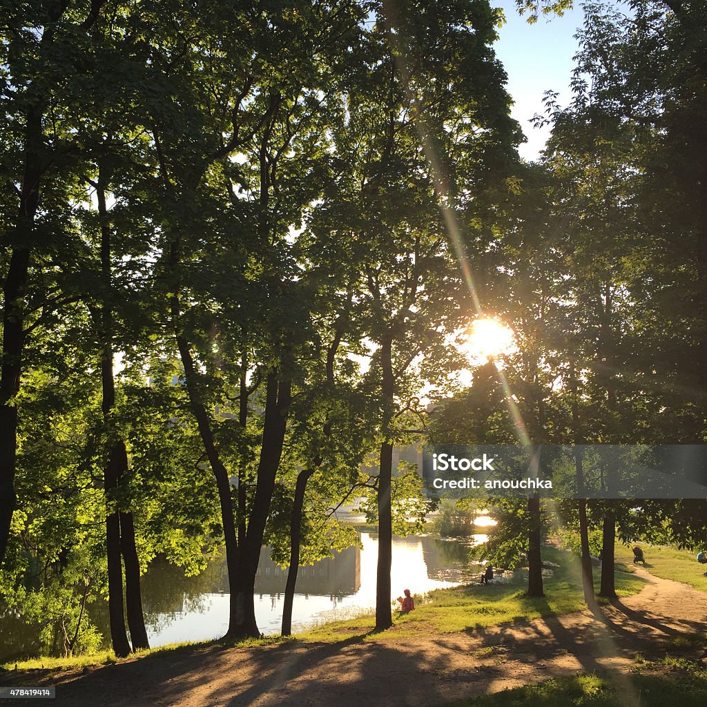 Summer evening in park 2015 Stock Photo