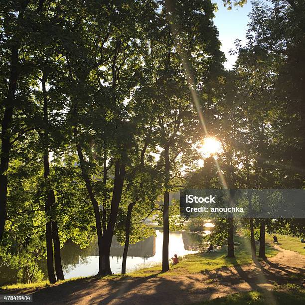 Summer Evening In Park Stock Photo - Download Image Now - 2015, Copy Space, Dusk