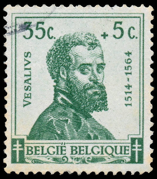 istock Stamp printed in Belgium shows Vesalius 478420777