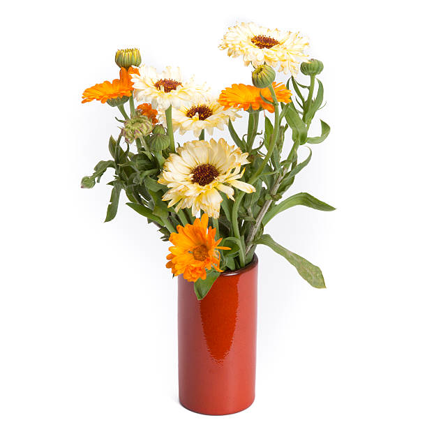 istock Calendula in vintage vase 478422328