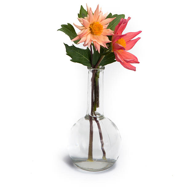 istock Dahlia in vintage vase 478422344