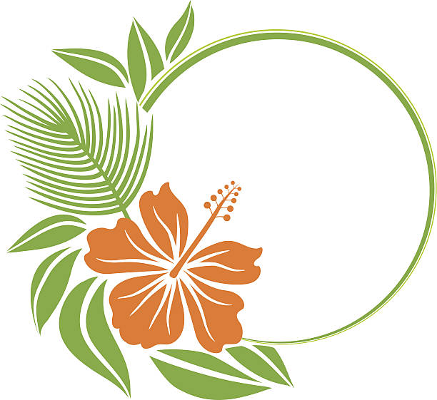 illustrazioni stock, clip art, cartoni animati e icone di tendenza di cornice floreale - abstract flower tropical climate single flower