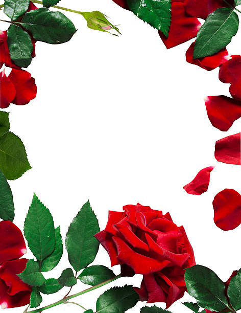 istock Frame of flowers 478426697