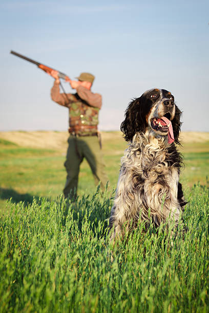 istock Hunter with hunting dog during a hunt 478429020