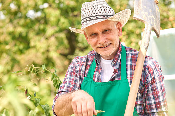istock Elder farmer in his garden 478432508