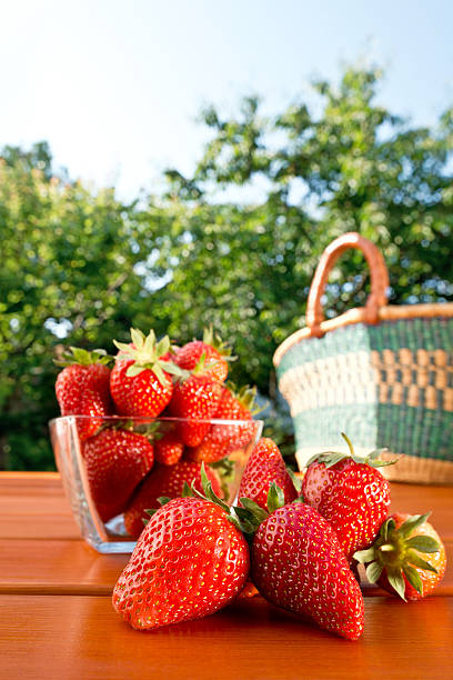 Fresh ripe strawberries in a white bowl on a white wooden background