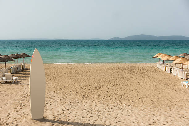 Photo of the surfboard at the beach