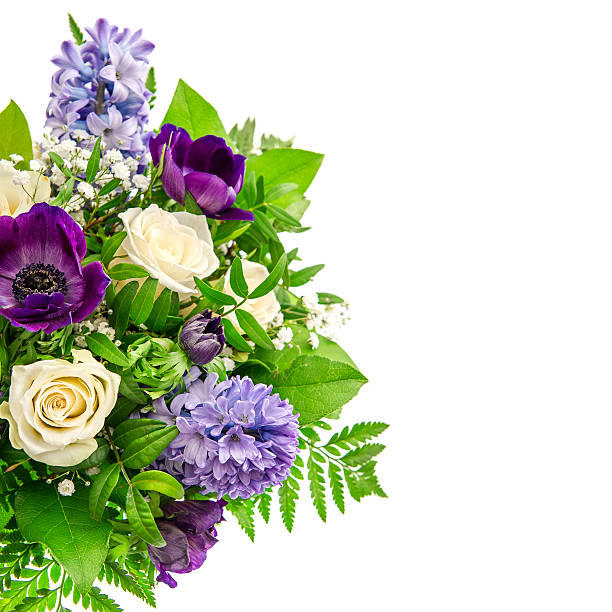 Spring Flowers. Ranunculus, Hyacinth, Roses Over White Background