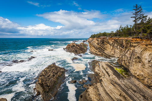 White surf crashing onto the dramatic rocky coastline of Oregon, with pine forests overlooking the blue Pacific Ocean at Cape Arago, USA. ProPhoto RGB profile for maximum color fidelity and gamut.
