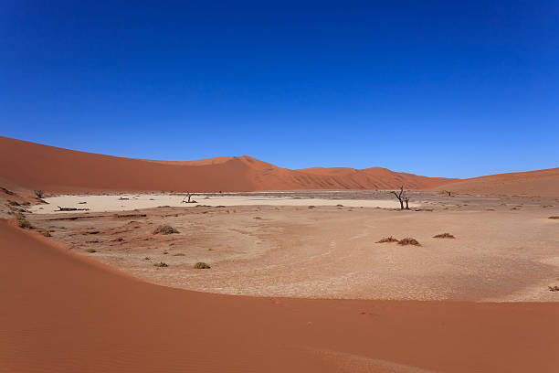 隠された vlei - landscape panoramic kalahari desert namibia ストックフォトと画像