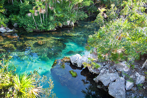 Cenote - turquoise water at Xel-Ha, Cancun Cenote with beautiful turquoise water for snorkeling at Xel-Ha, Cancun. lagoon stock pictures, royalty-free photos & images