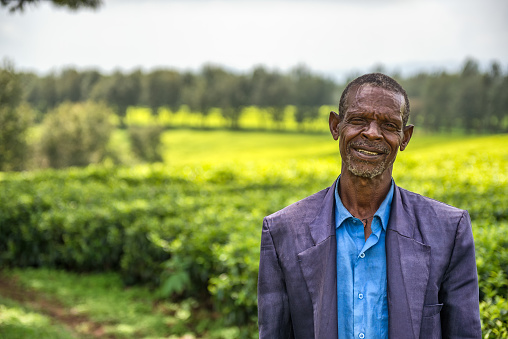 Jimma, Ethiopia - May 2, 2015 :  Ethiopian farmer posing on a tea plantation near Jimma, Ethiopia