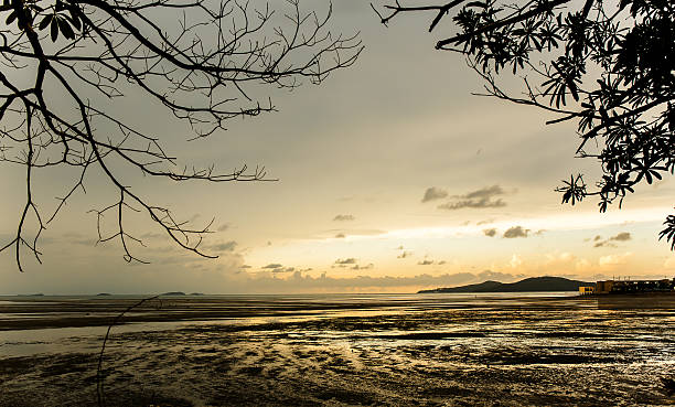istock atmosphere at sunrise on the beach 478443784