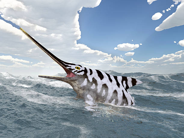 istock Ichthyosaur Eurhinosaurus 478444944