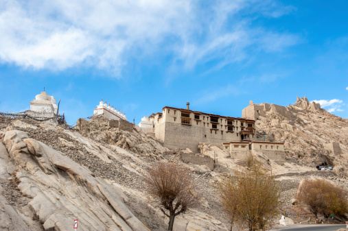 View of Shey Palace, Leh, Ladakh, India