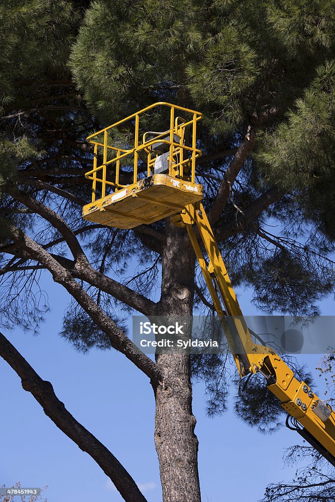 Prune trees Lifting equipment to prune trees Blue Stock Photo