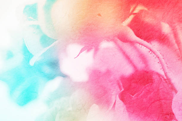 istock colorful flowers in soft color and blur style 478455864