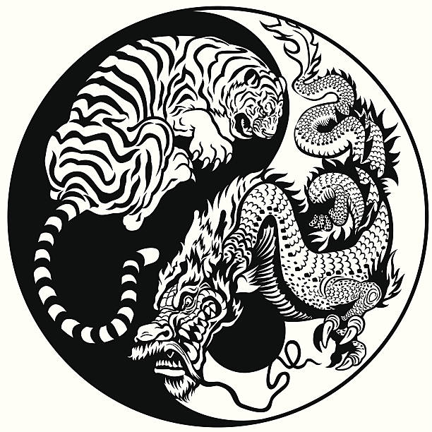 dragon and tiger yin yang symbol dragon and tiger yin yang symbol of harmony and balance in feng shui . Black and white image dragon tattoos stock illustrations