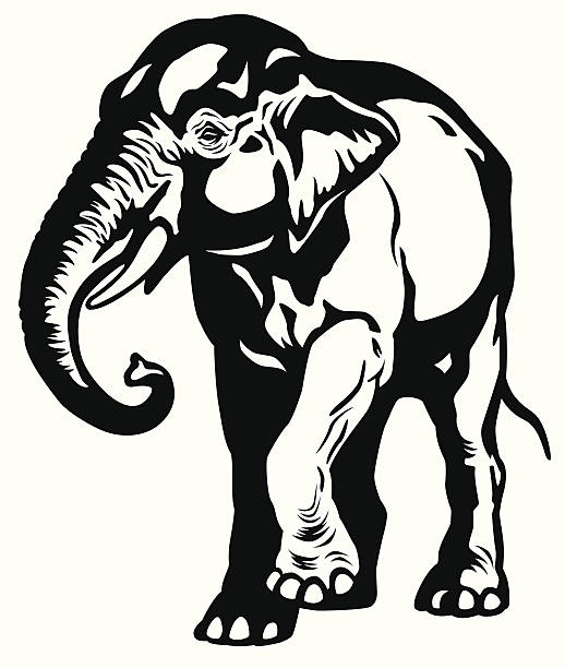 ilustrações, clipart, desenhos animados e ícones de elefante indiano preto e branco - elefante asiático