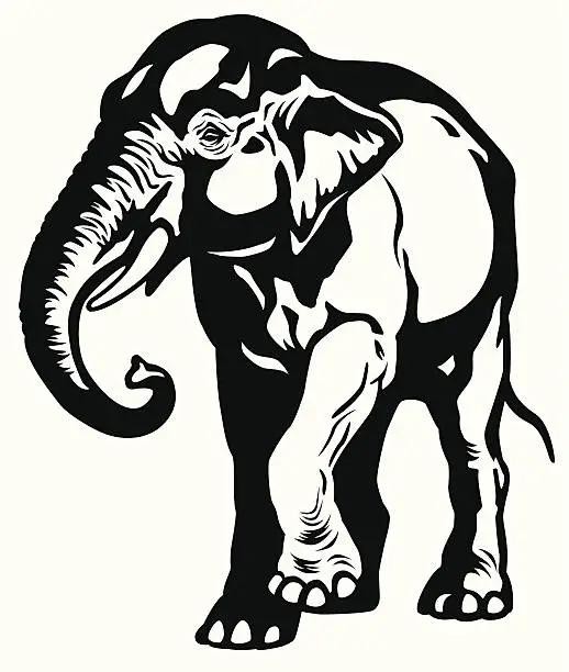Vector illustration of asian elephant black white