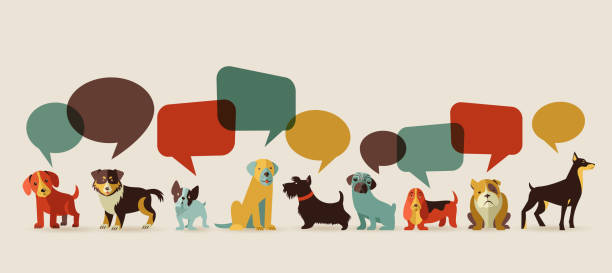 illustrazioni stock, clip art, cartoni animati e icone di tendenza di cani parlare-icone e illustrazioni - nature dog alertness animal