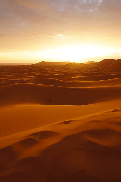 istock Sahara desert at sunrise 478460912