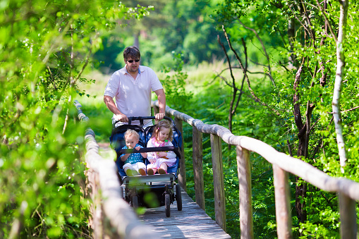 Young active father with kids in double stroller in a park. Dad with twin pram walking in the forest.  Parent with twins, son and daughter, hiking in the woods. Outdoor fun for family with children.