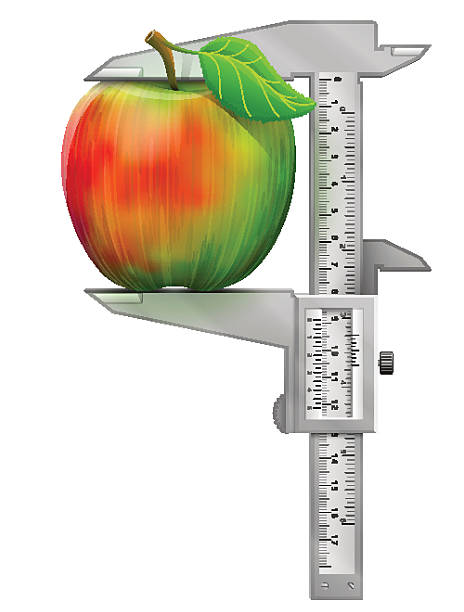 Vertical caliper measures apple fruit Concept of apple and measuring tool. Qualitative vector illustration about apple, agriculture, fruits, cooking, gastronomy, etc. It has transparency, masks, blending modes, mesh vernier scale stock illustrations