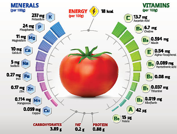 vitamine und mineralien von tomaten - vitamin c vitamin a vitamin e vegetable stock-grafiken, -clipart, -cartoons und -symbole