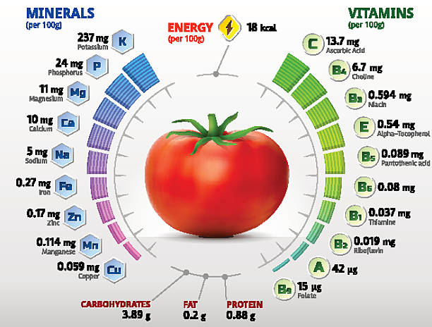 ilustraciones, imágenes clip art, dibujos animados e iconos de stock de las vitaminas y los minerales que necesita de tomate - vegetable vitamin a tomato vitamin c