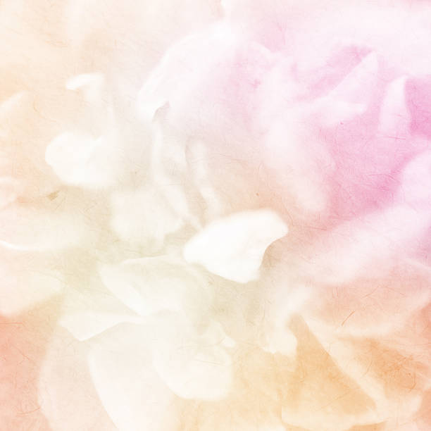 istock sweet color roses on mulberry paper texture 478468152