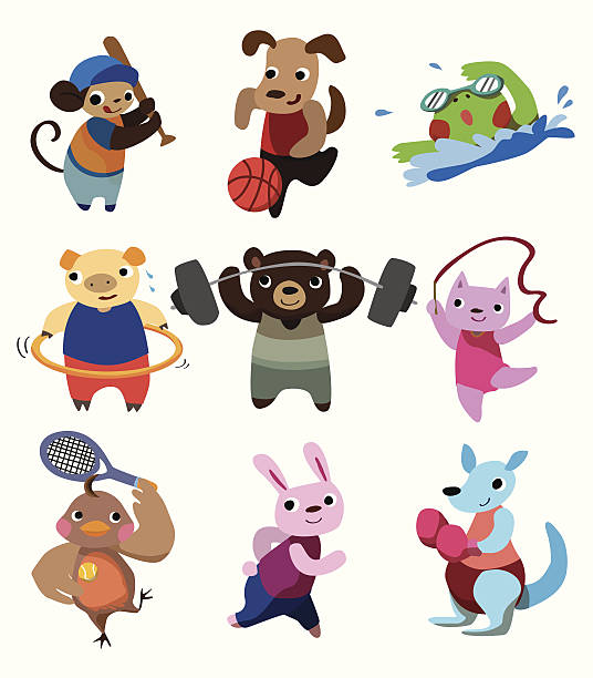 kreskówka, sport ze zwierzętami - animal doodle bear kangaroo stock illustrations