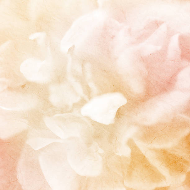 istock sweet color roses on mulberry paper texture 478469944