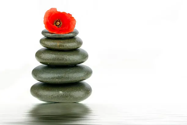 Zen stones with red poppy flower with water