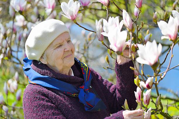 高齢者の女性の笑顔と夢の庭園。 - sunlight flower magnolia flower head ストックフォトと画像