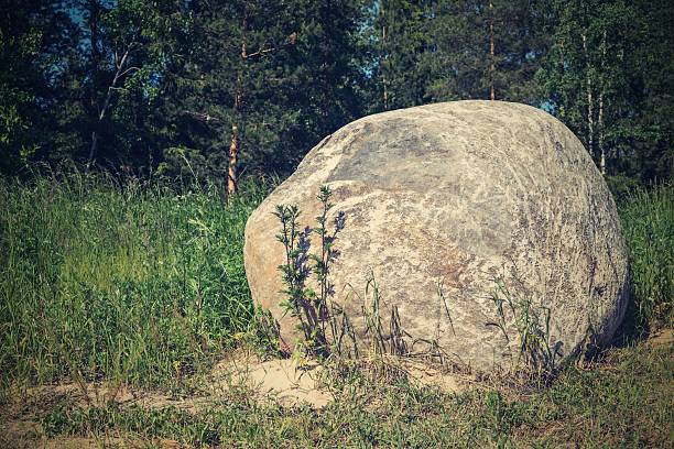 huge gray stone on a glade closeup against vegetation and trees of the wood with a retro effect